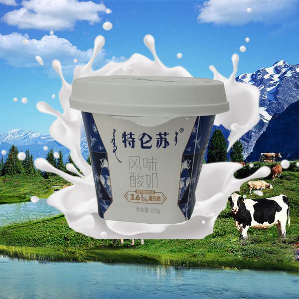 蒙牛特仑苏风味酸奶 125克