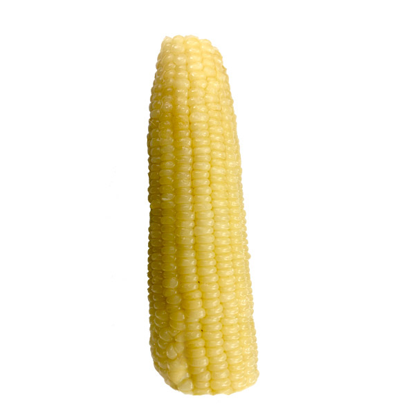  白玉米